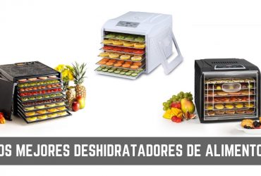 Deshidratador de alimentos ¿Cuál comprar en 2019?